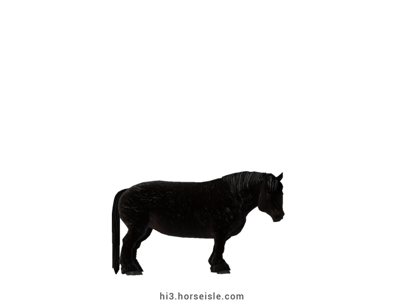 Cow-pony Highland Ebony Black Coat
